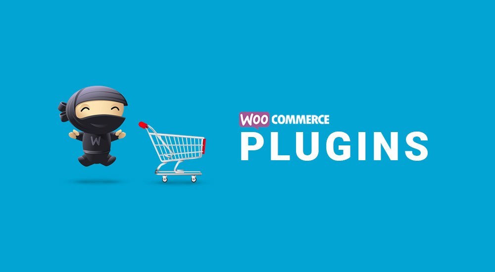 Top 10 Essential WooCommerce Plugin You Should Know