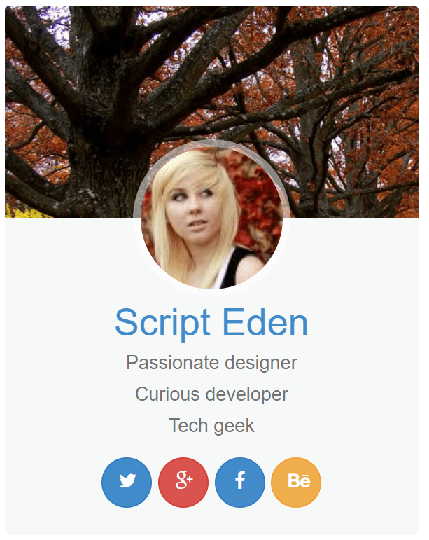 bootstrap user profile template